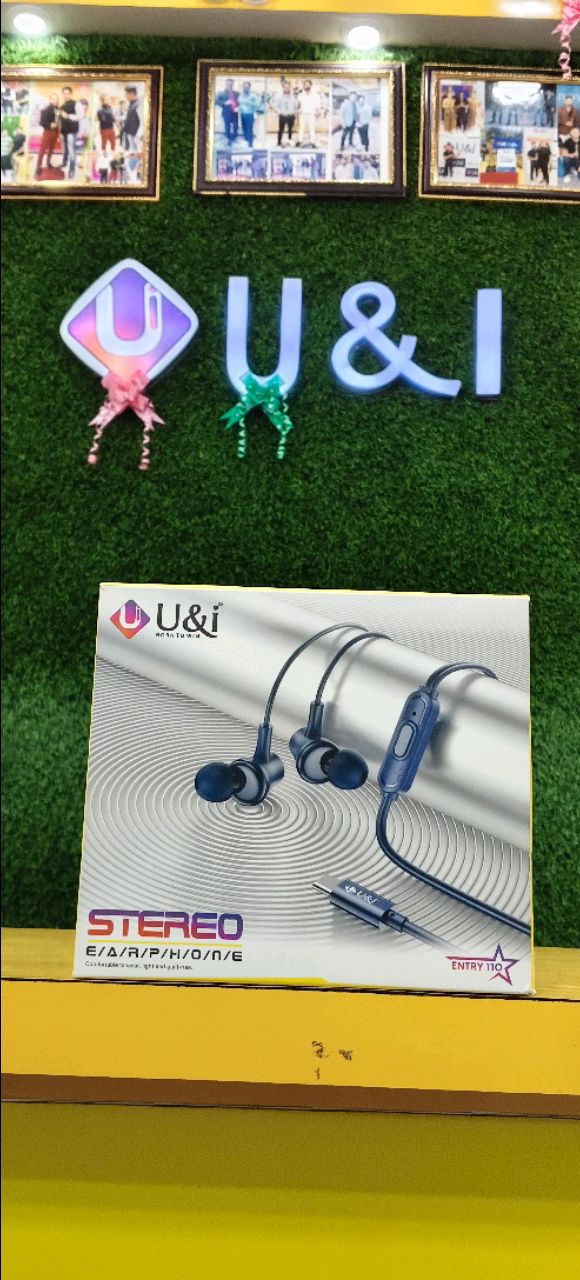 2673 TYPE-C EARPHONE 